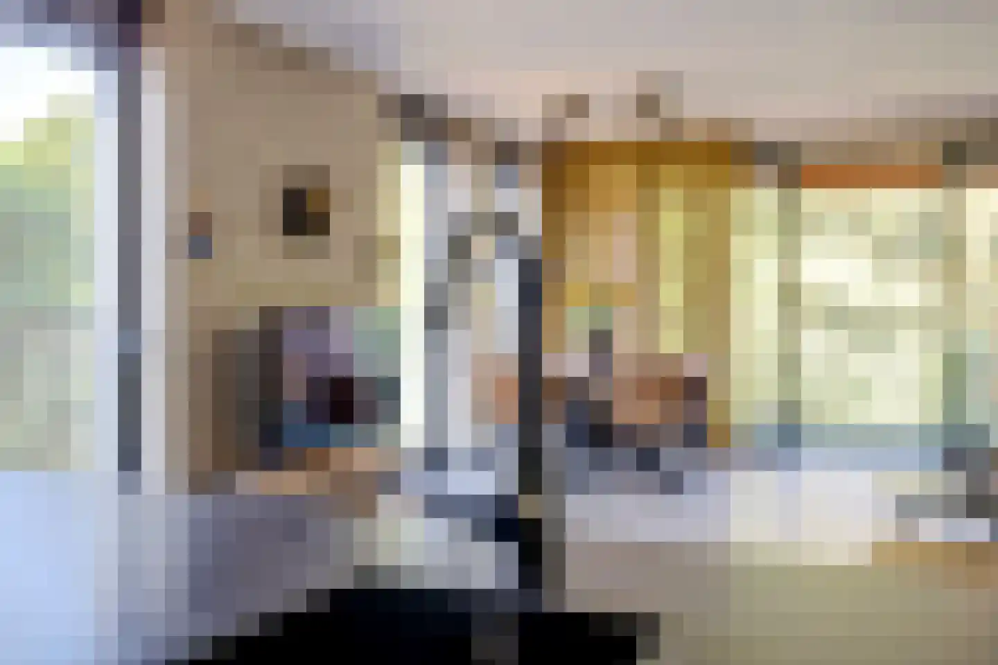 Wijnruitstraat 315 Hoogvliet Rotterdam thumbnail 18