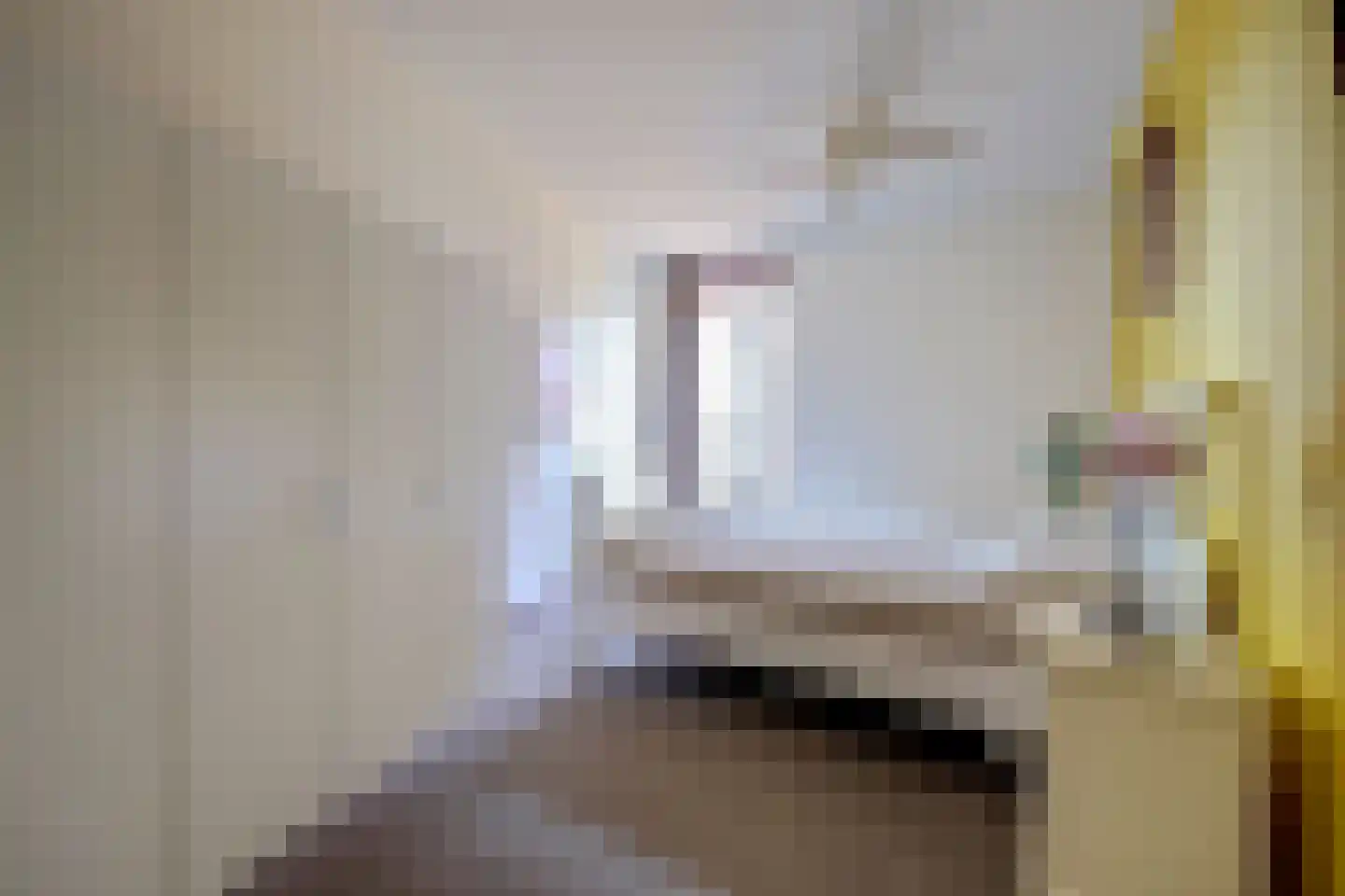 Wijnruitstraat 315 Hoogvliet Rotterdam thumbnail 21
