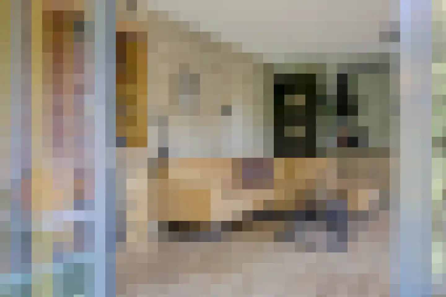 Wijnruitstraat 315 Hoogvliet Rotterdam thumbnail 32