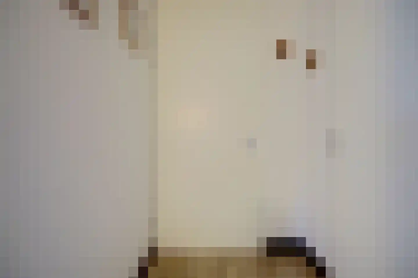 Wijnruitstraat 315 Hoogvliet Rotterdam thumbnail 5