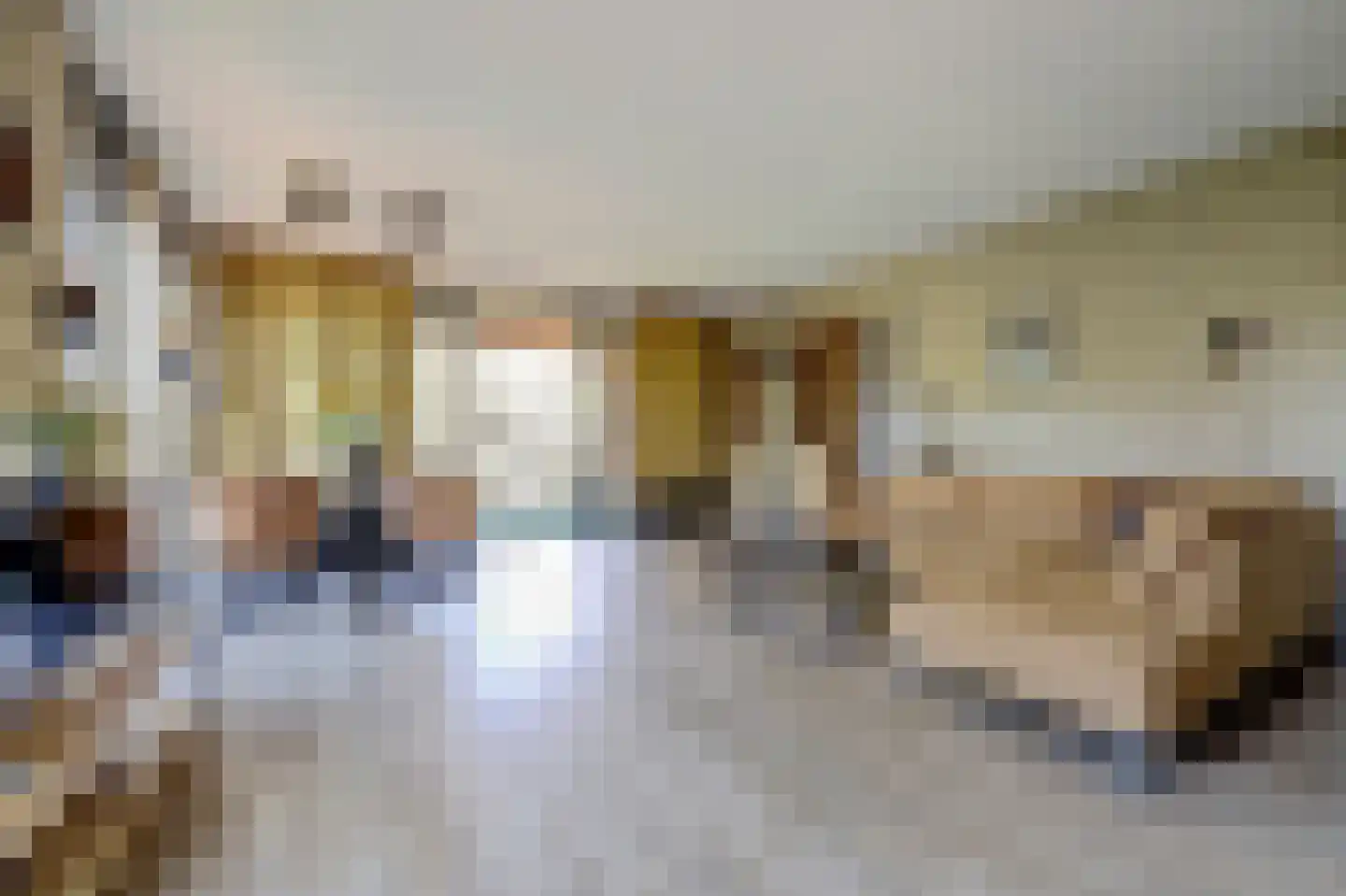 Wijnruitstraat 315 Hoogvliet Rotterdam thumbnail 8
