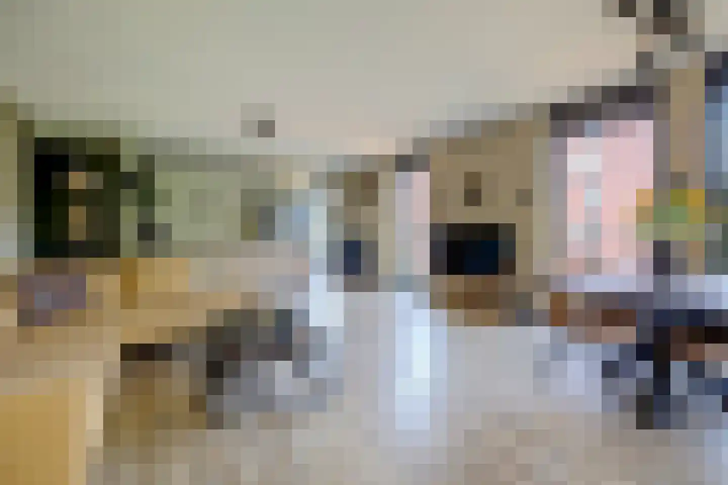 Wijnruitstraat 315 Hoogvliet Rotterdam thumbnail 9