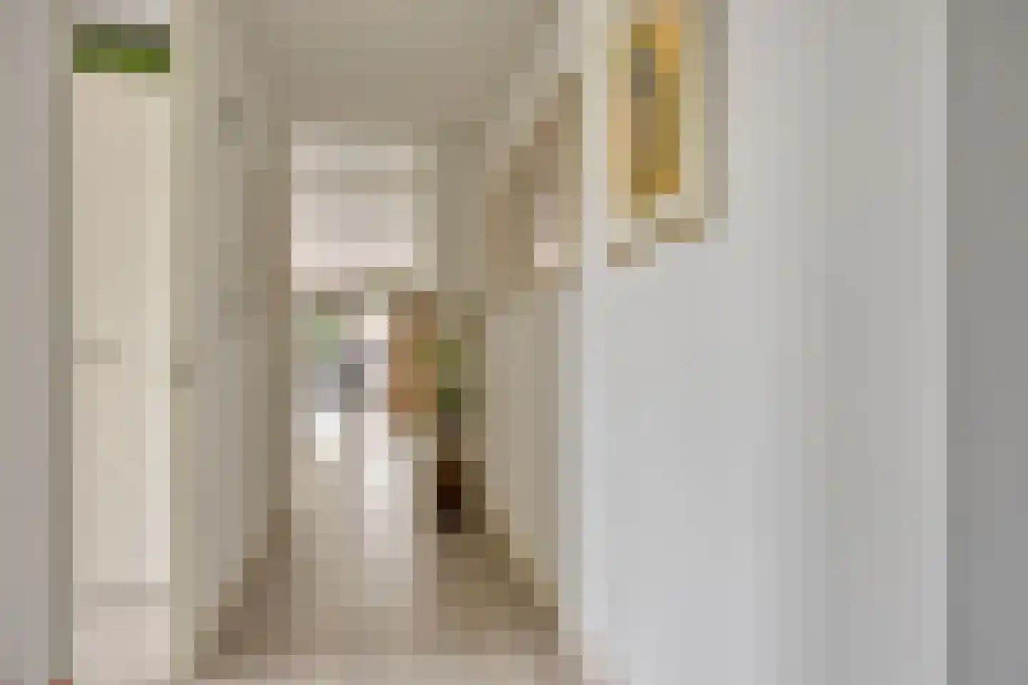 Wijnruitstraat 381 Hoogvliet Rotterdam thumbnail 14
