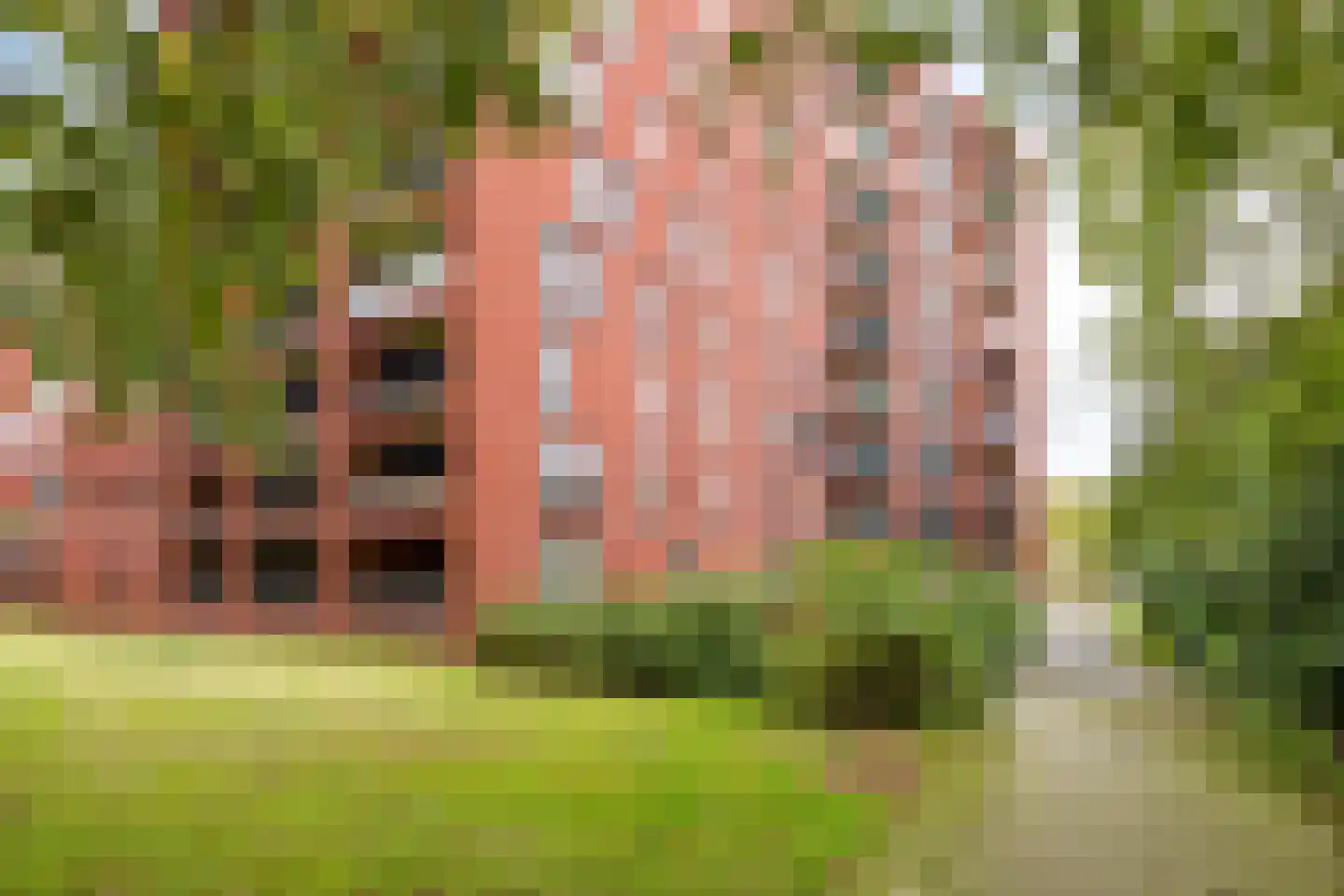 Wijnruitstraat 381 Hoogvliet Rotterdam thumbnail 44