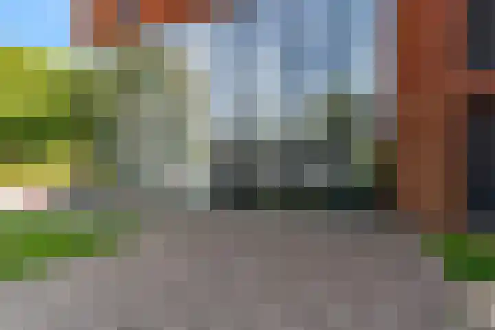 Wijnruitstraat 421 Hoogvliet Rotterdam thumbnail 6