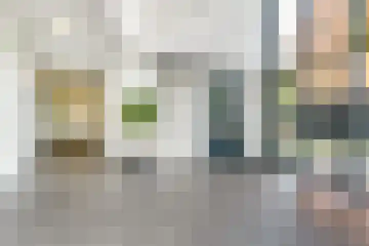 Wijnruitstraat 421 Hoogvliet Rotterdam thumbnail 7