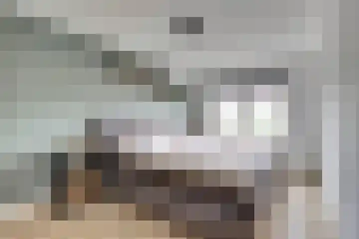 Wijnruitstraat 5 Wierden thumbnail 15