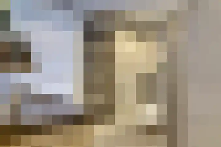 Wijnruitstraat 5 Wierden thumbnail 17