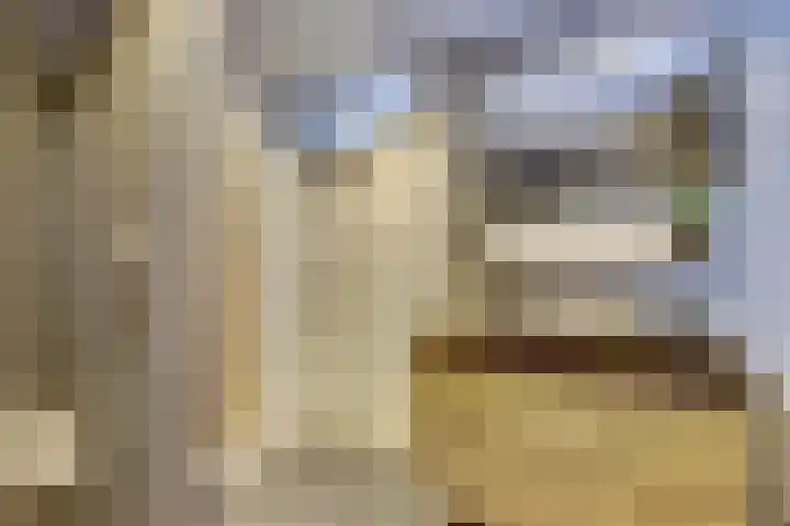 Wijnruitstraat 5 Wierden thumbnail 18