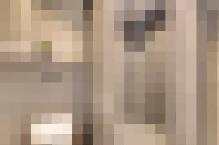 Wijnruitstraat 5 Wierden thumbnail 19