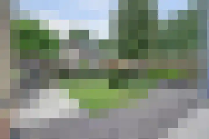 Wijnruitstraat 5 Wierden thumbnail 25