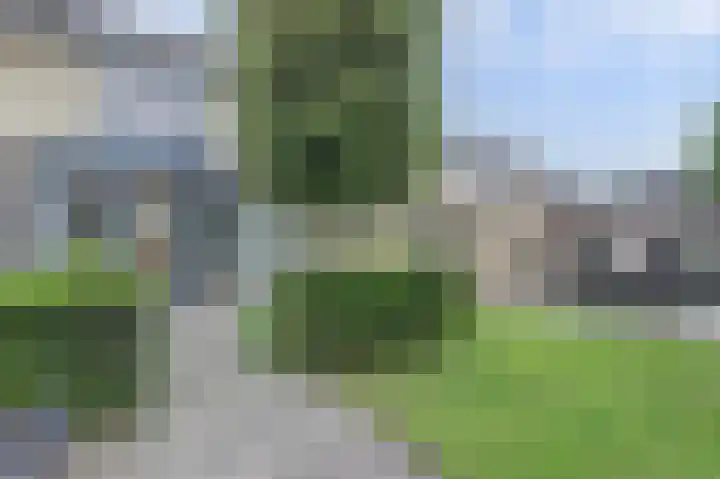 Wijnruitstraat 5 Wierden thumbnail 28