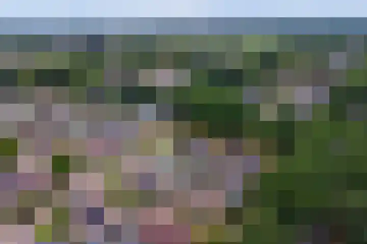 Wijnruitstraat 5 Wierden thumbnail 30