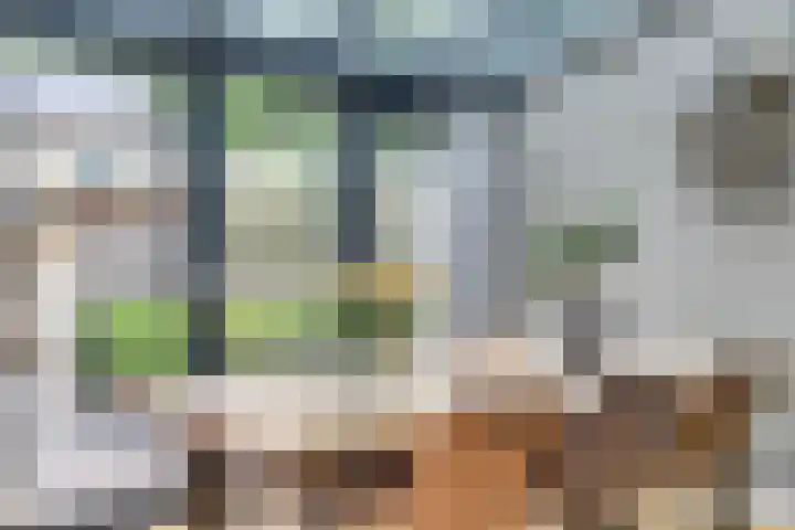 Wijnruitstraat 5 Wierden thumbnail 7