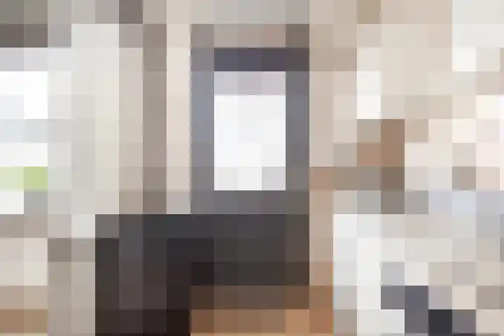 Wijnruitstraat 6 Arnhem thumbnail 10