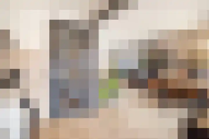 Wijnruitstraat 6 Arnhem thumbnail 11