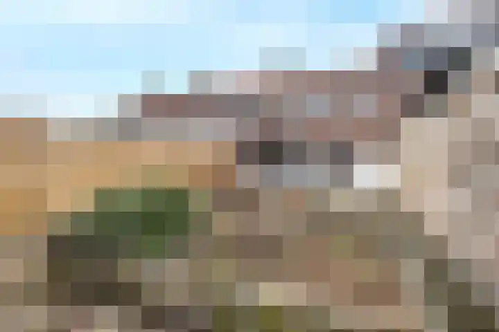 Wijnruitstraat 6 Arnhem thumbnail 25