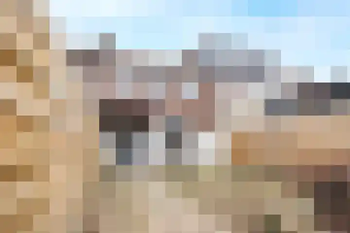 Wijnruitstraat 6 Arnhem thumbnail 26