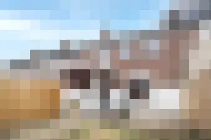 Wijnruitstraat 6 Arnhem thumbnail 27
