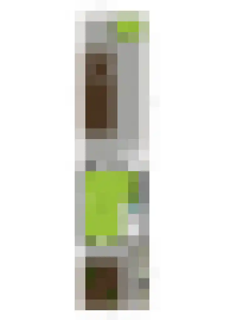 Wijnruitstraat 6 Arnhem thumbnail 33