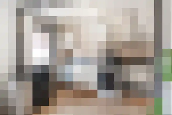 Wijnruitstraat 6 Arnhem thumbnail 8