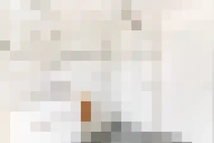 Wijnruitstraat 7 Wierden thumbnail 11