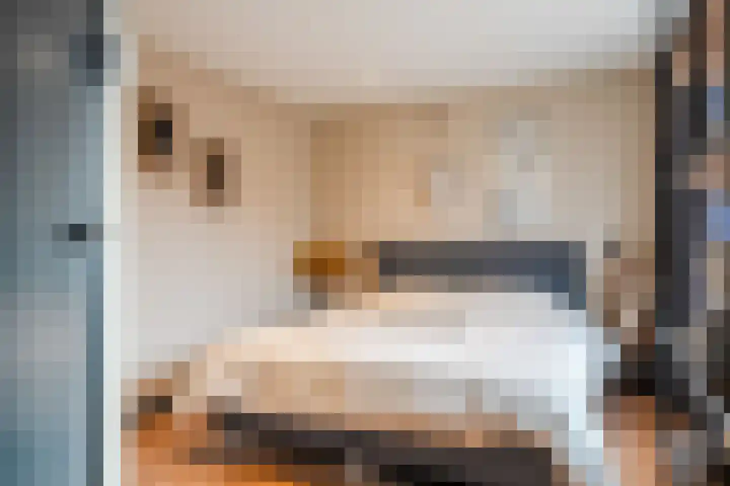 Wijnruitstraat 7 Wierden thumbnail 13