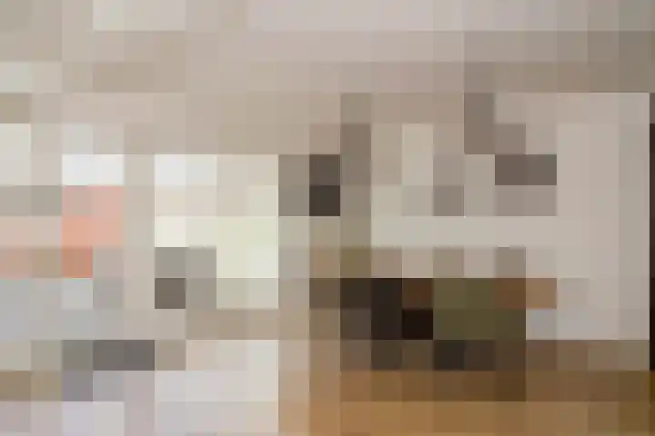 Wijnruitstraat 7 Wierden thumbnail 21