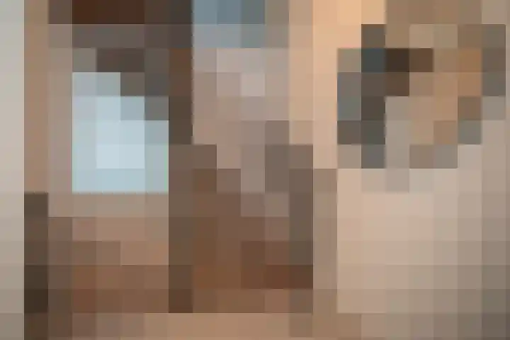 Wijnruitstraat 7 Wierden thumbnail 21