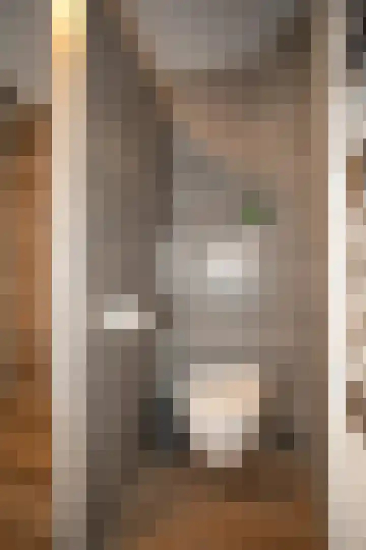 Wijnruitstraat 7 Wierden thumbnail 28