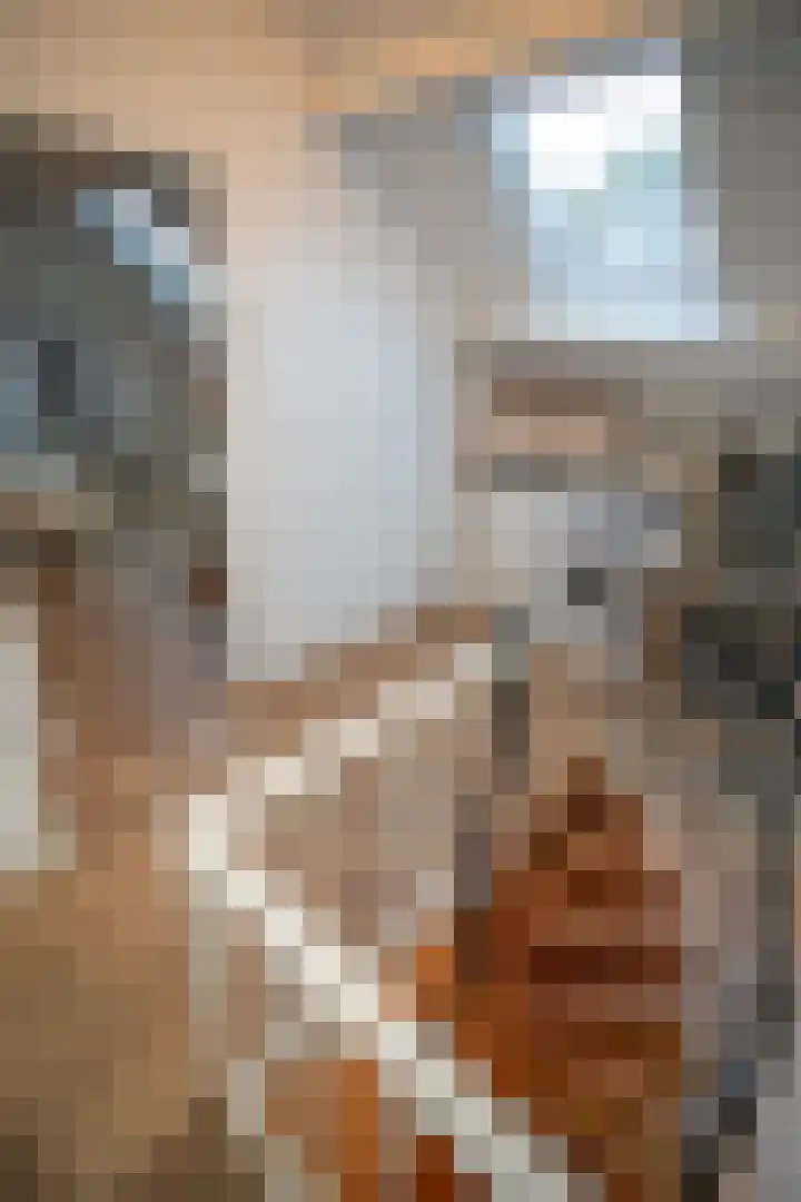 Wijnruitstraat 7 Wierden thumbnail 38