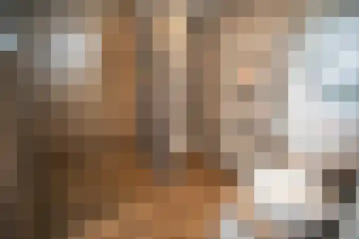 Wijnruitstraat 7 Wierden thumbnail 4
