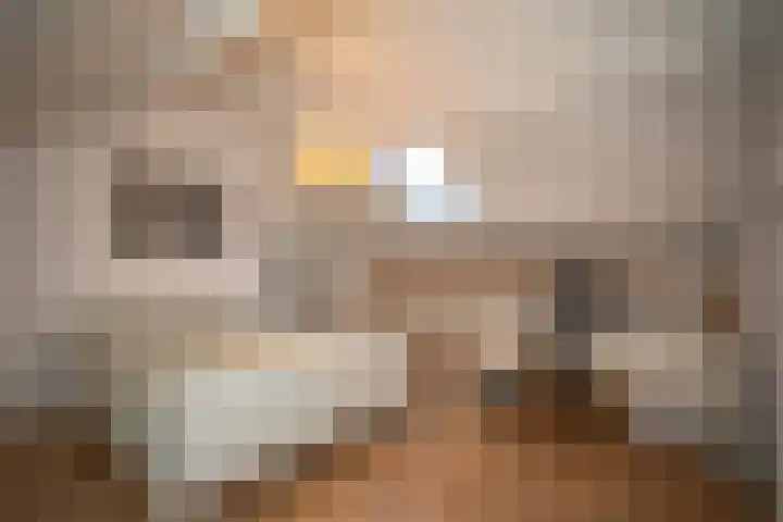 Wijnruitstraat 7 Wierden thumbnail 40