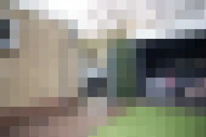Wijnruitstraat 7 Wierden thumbnail 43