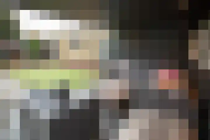 Wijnruitstraat 7 Wierden thumbnail 44