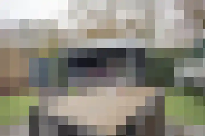 Wijnruitstraat 7 Wierden thumbnail 46