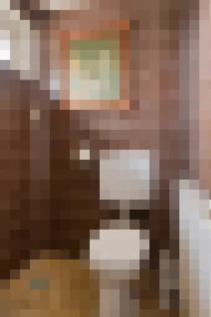 Wijnruitstraat 7 Wierden thumbnail 49