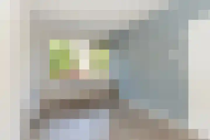 Wijnruitstraat 7 Wierden thumbnail 52