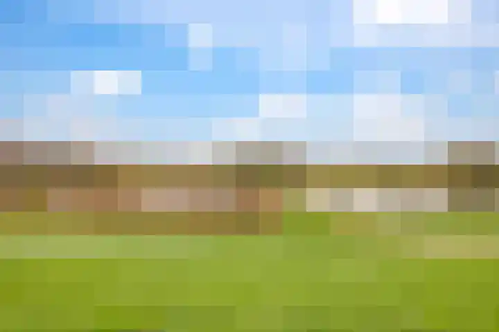 Wijnruitstraat 7 Wierden thumbnail 58