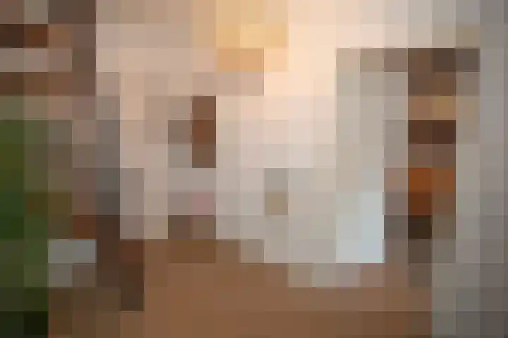 Wijnruitstraat 7 Wierden thumbnail 9