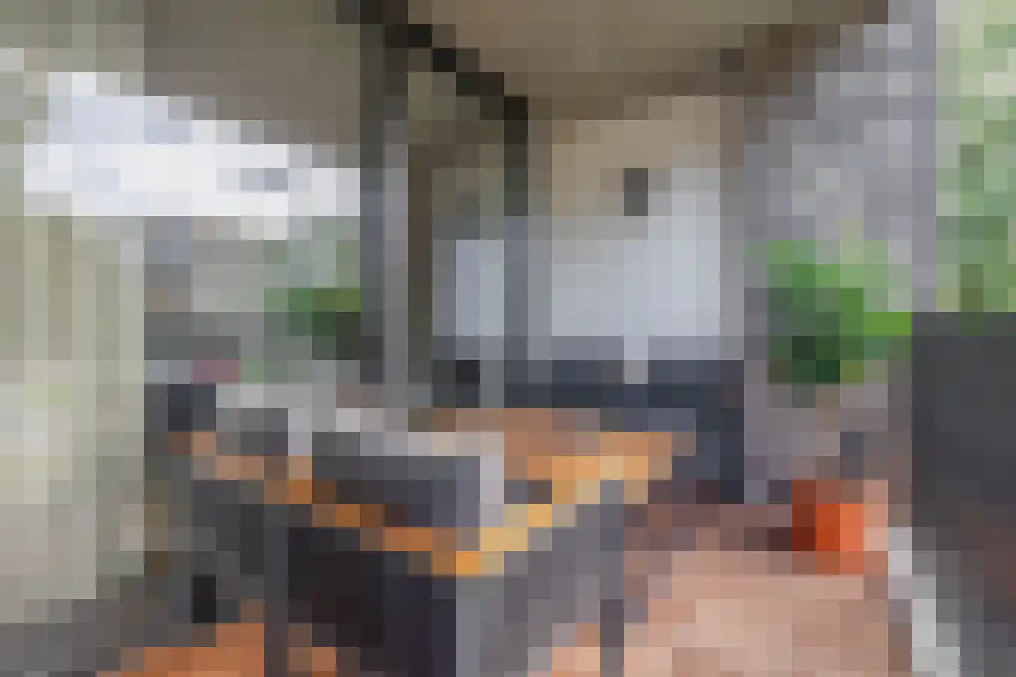 Wijnruitstraat 76 Waalwijk thumbnail 5
