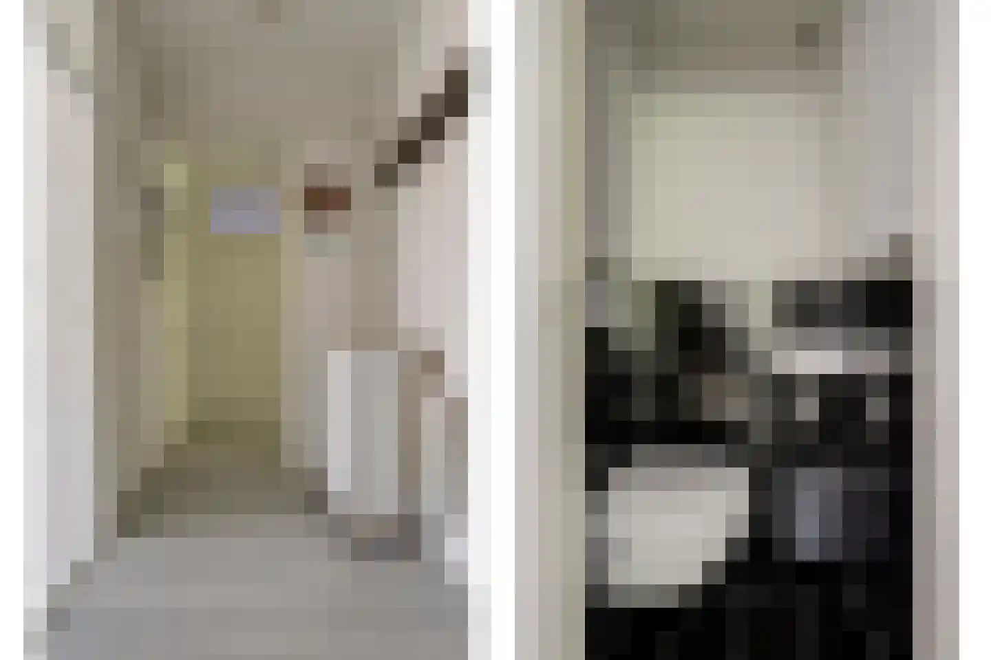 Wijnruitstraat 79 Hoogvliet Rotterdam thumbnail 14