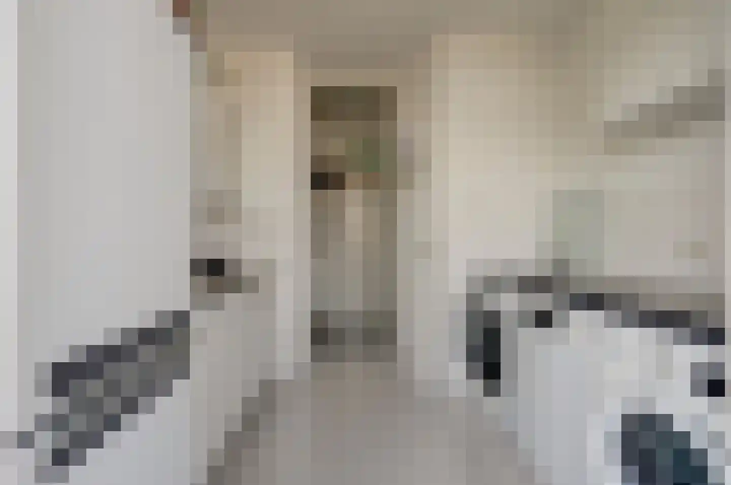 Wijnruitstraat 79 Hoogvliet Rotterdam thumbnail 5