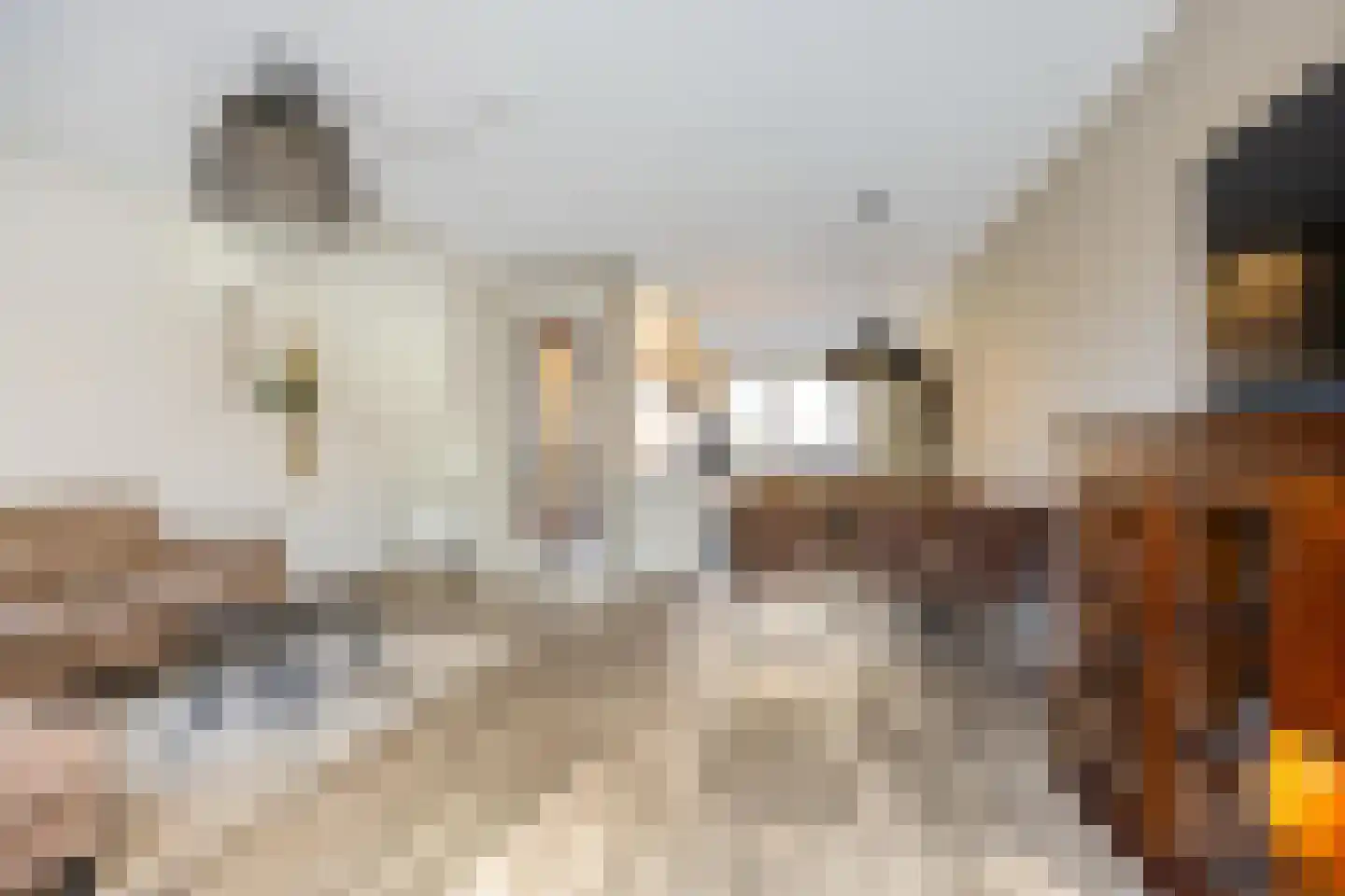 Wijnruitstraat 8 Groningen thumbnail 11