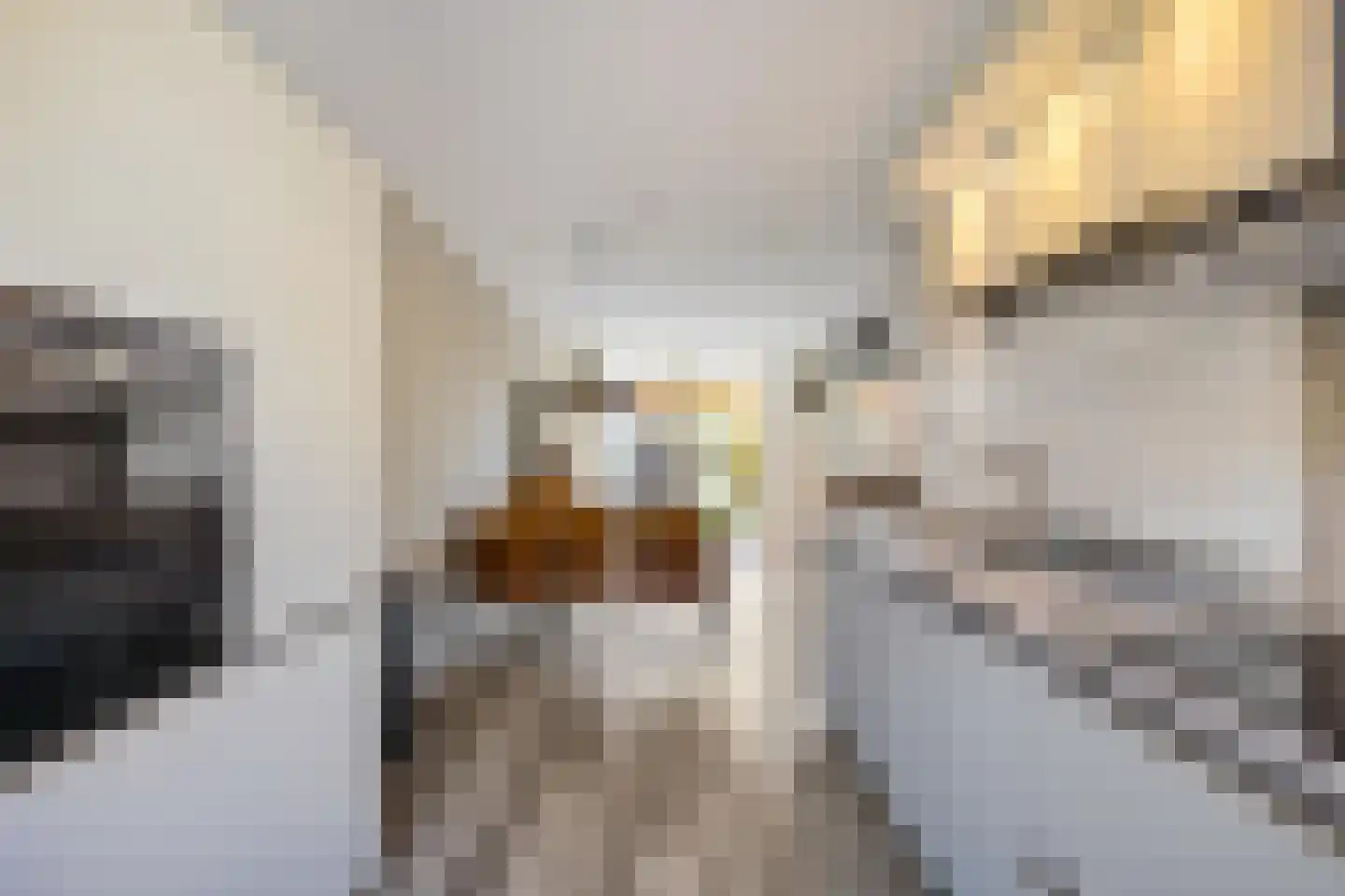 Wijnruitstraat 8 Groningen thumbnail 13