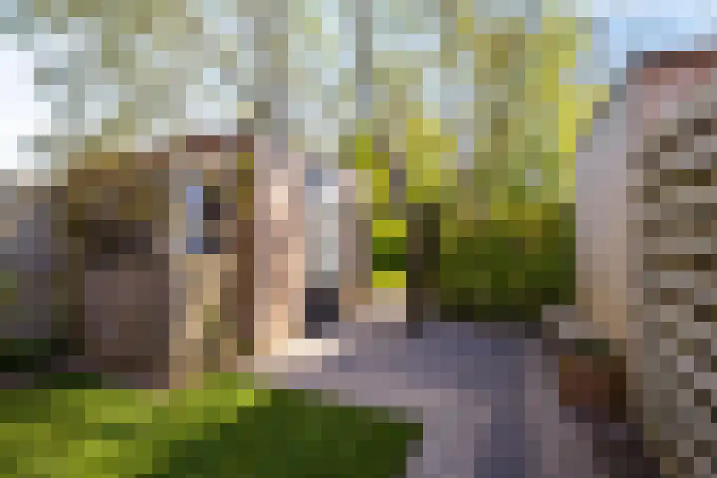 Wijnruitstraat 8 Groningen thumbnail 19