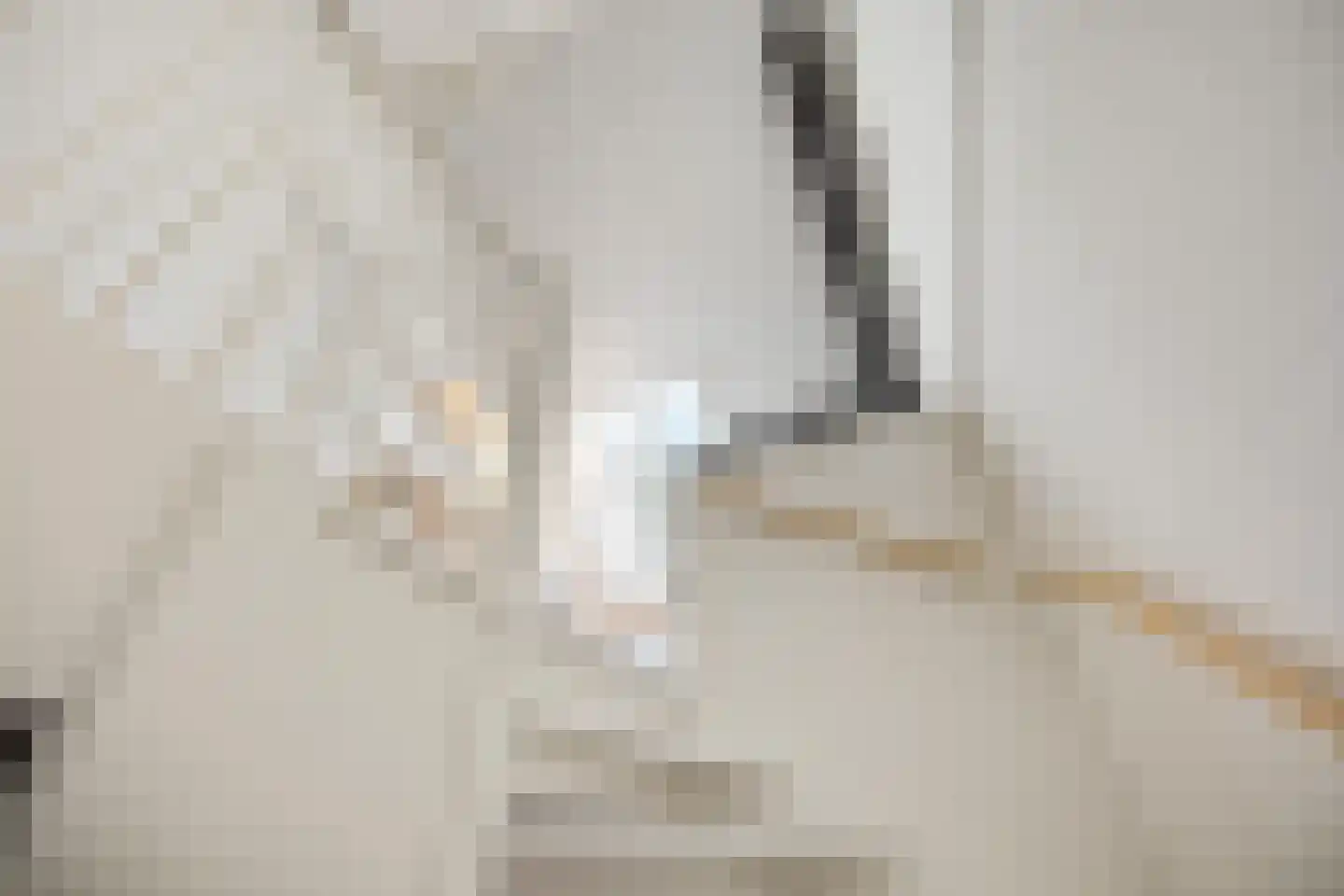 Wijnruitstraat 8 Groningen thumbnail 34