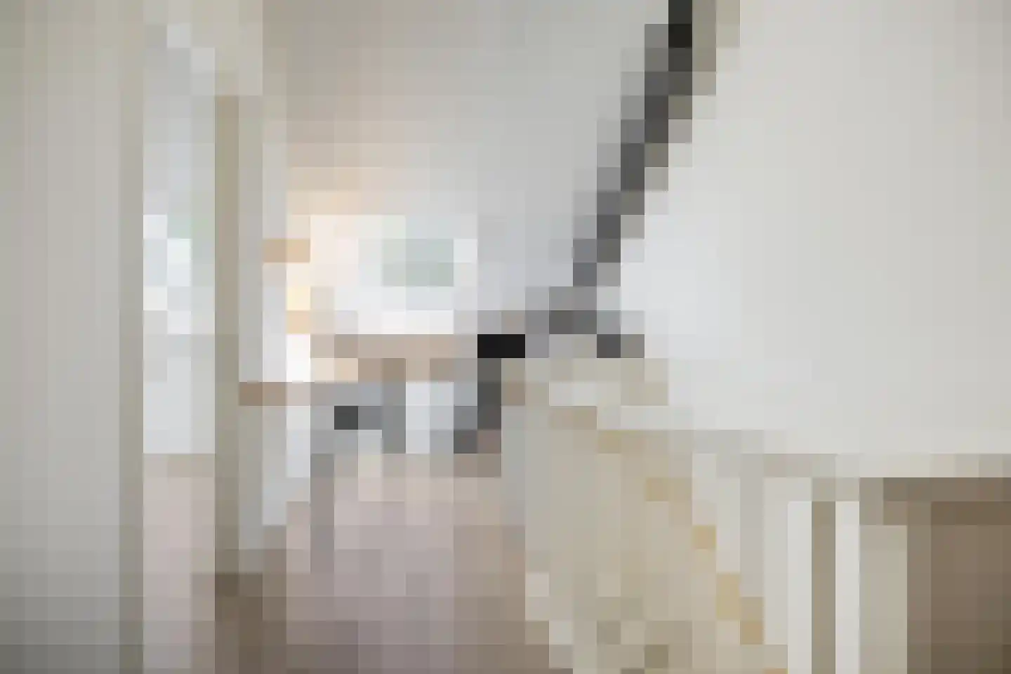 Wijnruitstraat 8 Groningen thumbnail 35