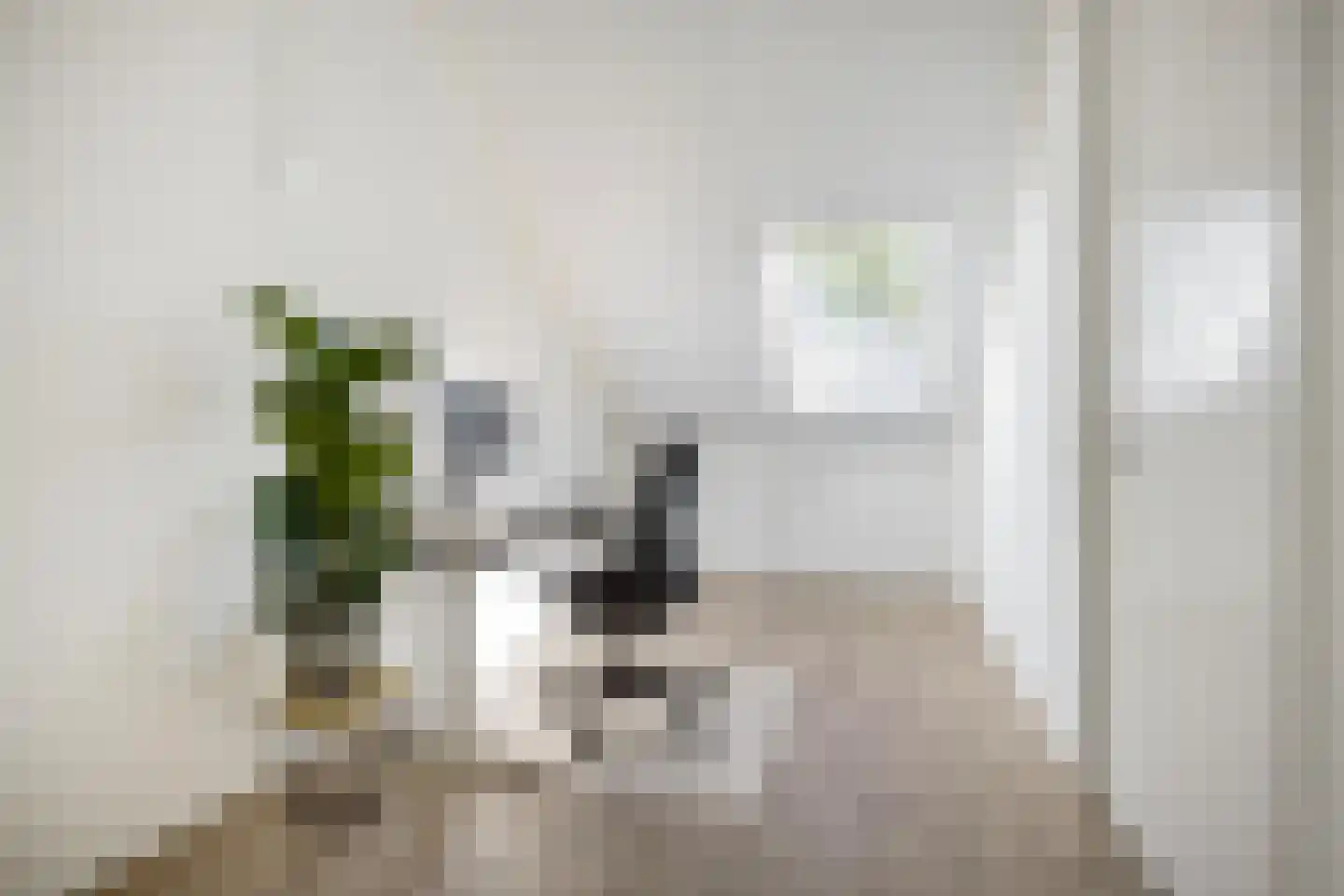 Wijnruitstraat 8 Groningen thumbnail 37