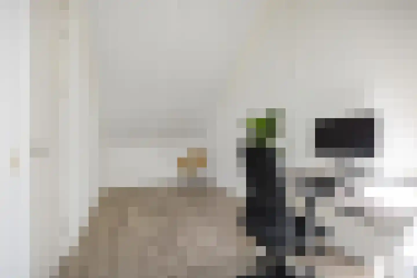 Wijnruitstraat 8 Groningen thumbnail 38